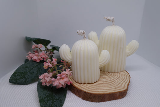 Pack velas cactus